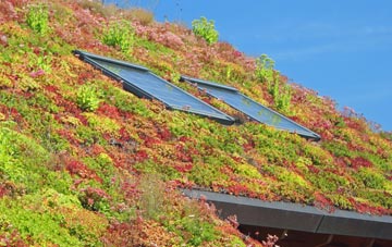 Baker Street living roof systems